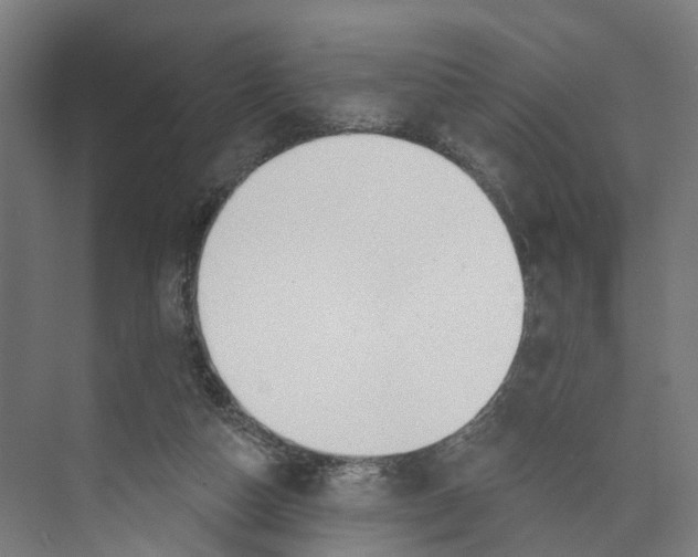 X0000073870162200609071708