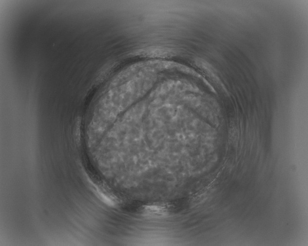 X0000073870167200609071708