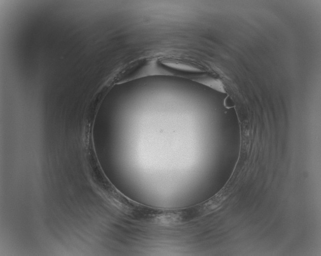 X0000073870168200609071708