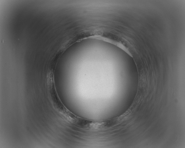 X0000073870172200609071708