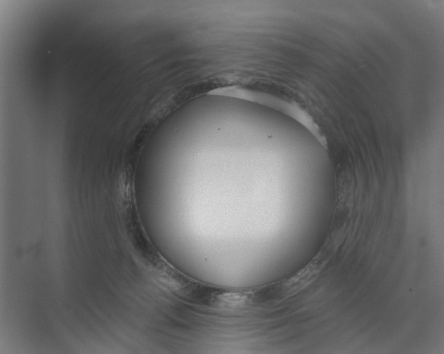 X0000073870176200609071708