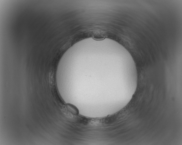 X0000073870177200609071708