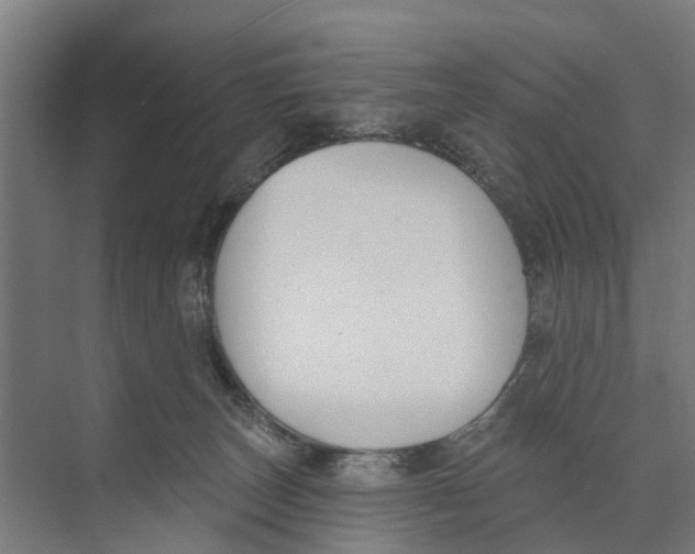 X0000073870179200609071708