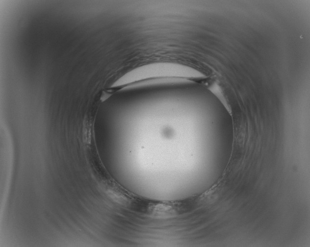 X0000073870180200609071708