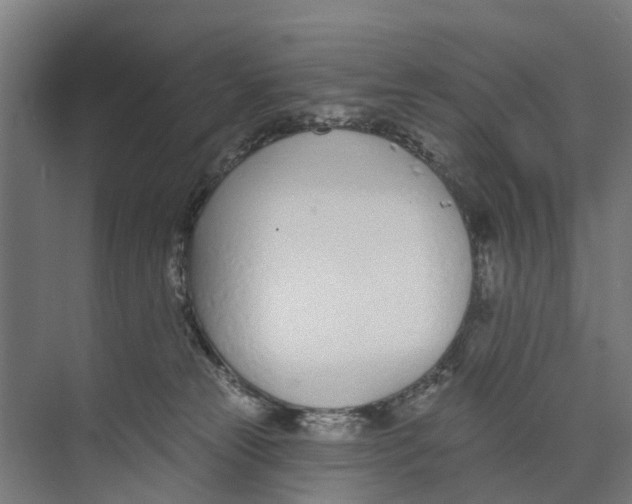 X0000073870181200609071708