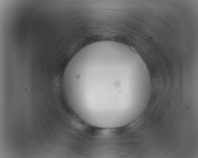 X0000073870184200609071708