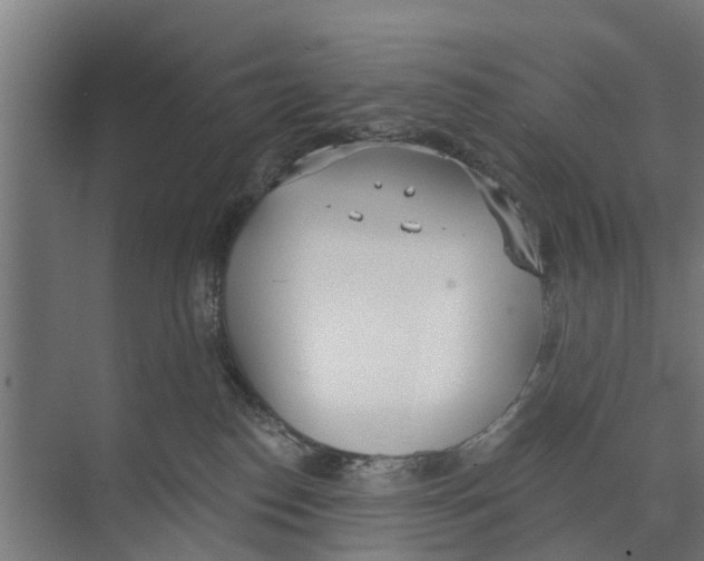 X0000073870186200609071708