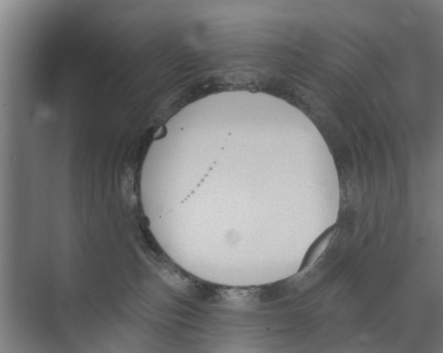 X0000073870187200609071708