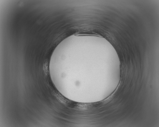 X0000073870190200609071708