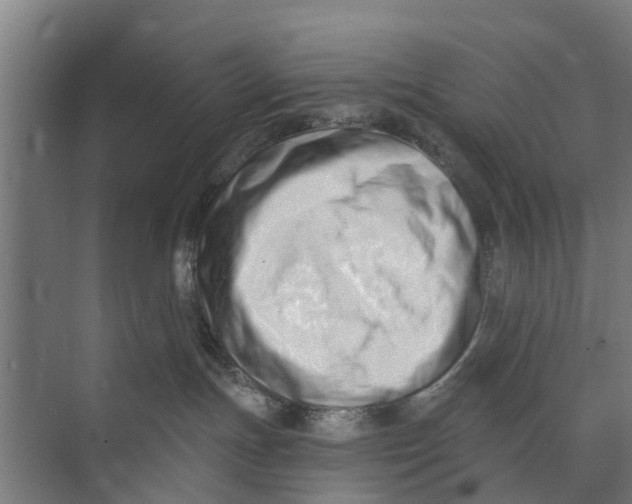 X0000073870191200609071708