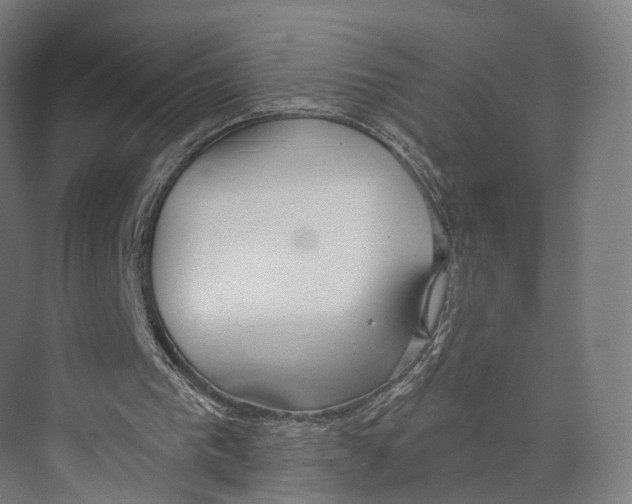 X0000073870193200609071708