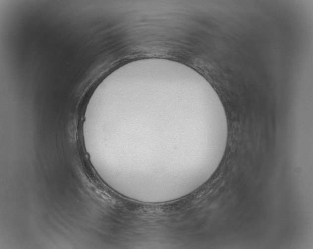 X0000073870194200609071708