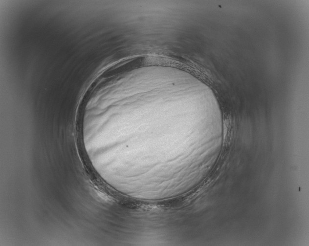 X0000073870195200609071708