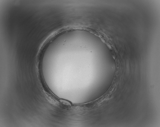 X0000073870197200609071708