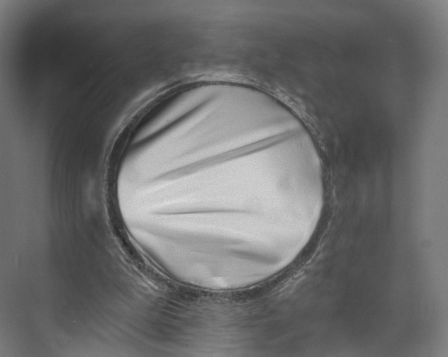 X0000073870199200609071708