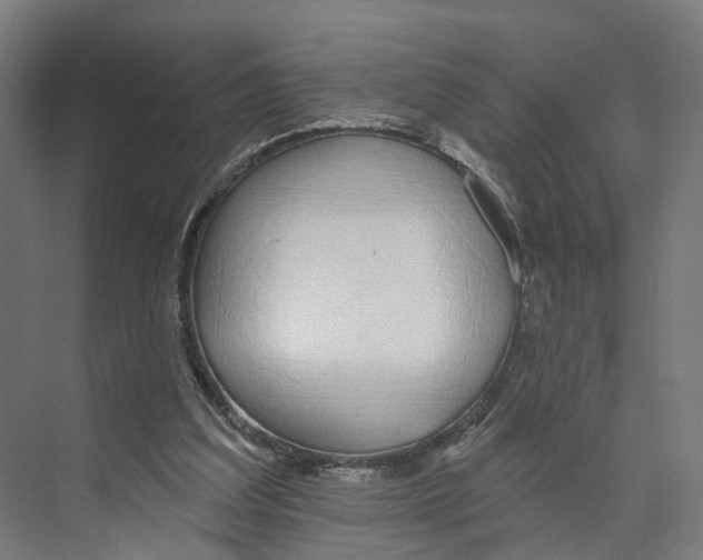 X0000073870203200609071708