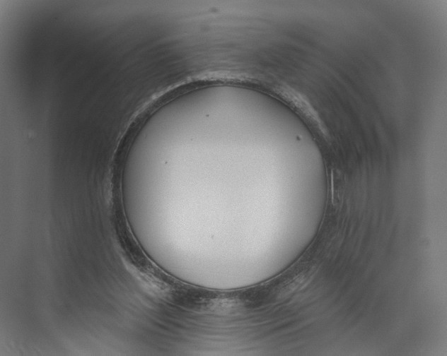 X0000073870204200609071707