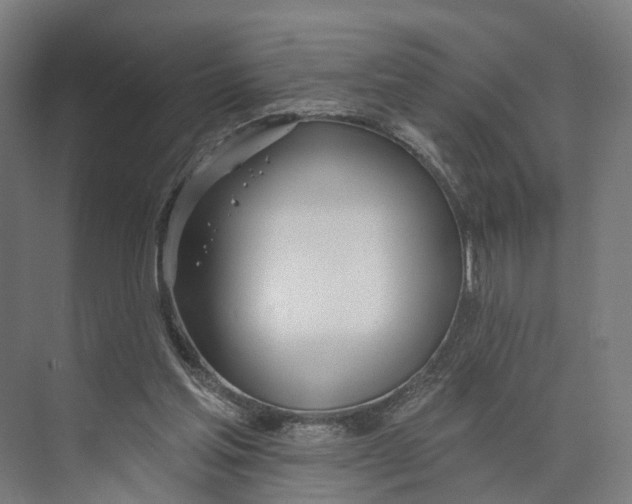 X0000073870205200609071707