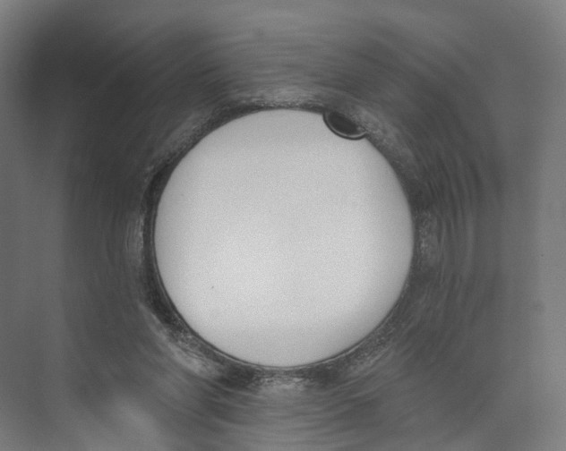 X0000073870206200609071707