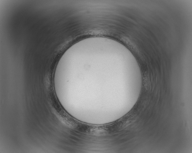 X0000073870208200609071707