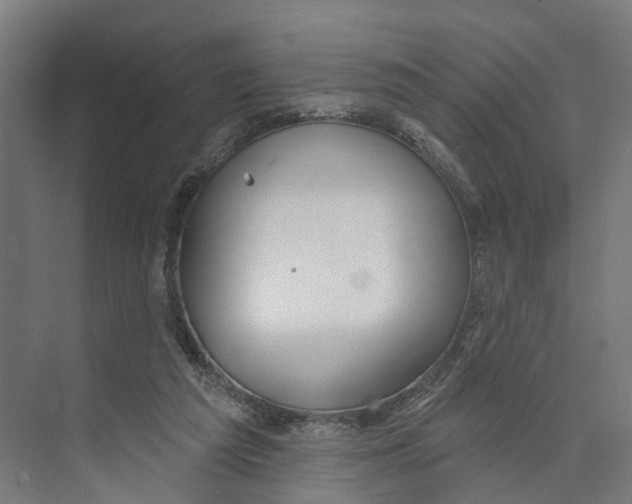 X0000073870209200609071707