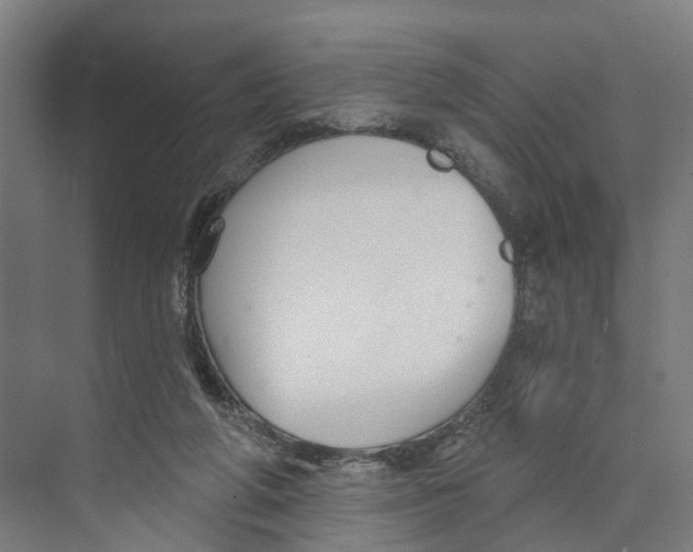 X0000073870210200609071707