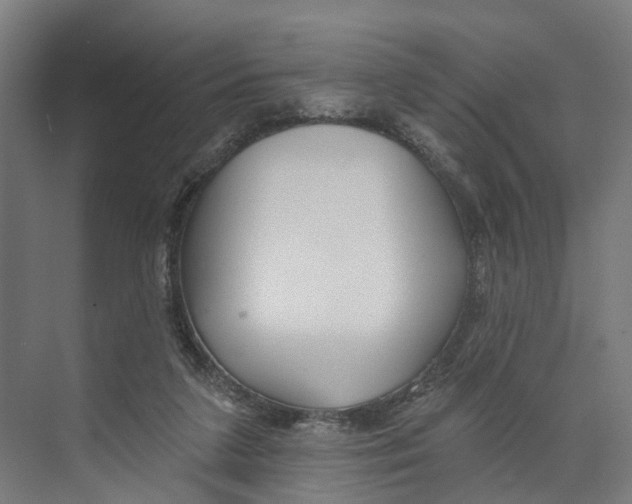 X0000073870211200609071707