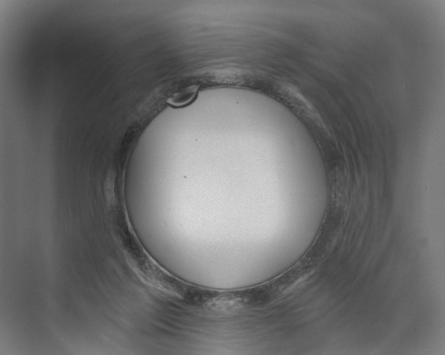 X0000073870213200609071707