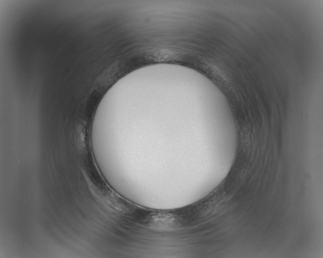 X0000073870214200609071707