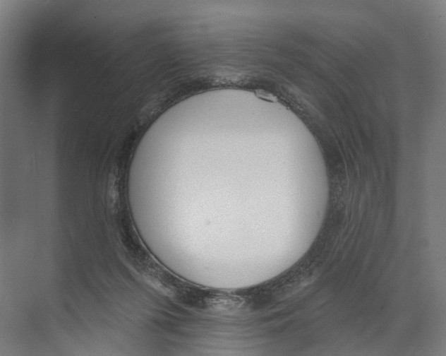 X0000073870215200609071707