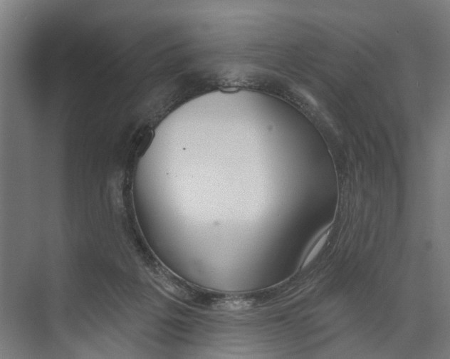 X0000073870217200609071707