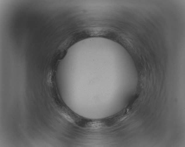 X0000073870219200609071707