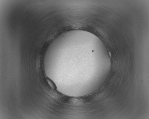 X0000073870221200609071707