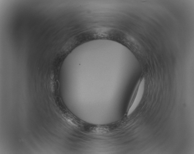 X0000073870223200609071707