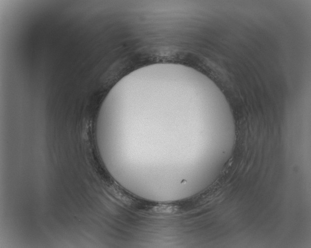 X0000073870225200609071707