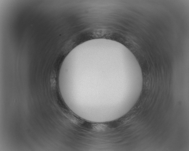 X0000073870226200609071707