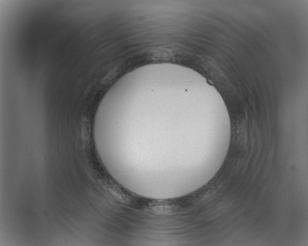 X0000073870228200609071707