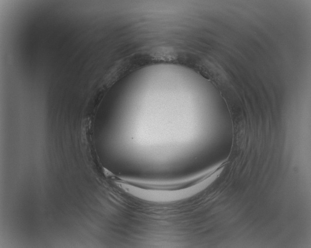 X0000073870229200609071707