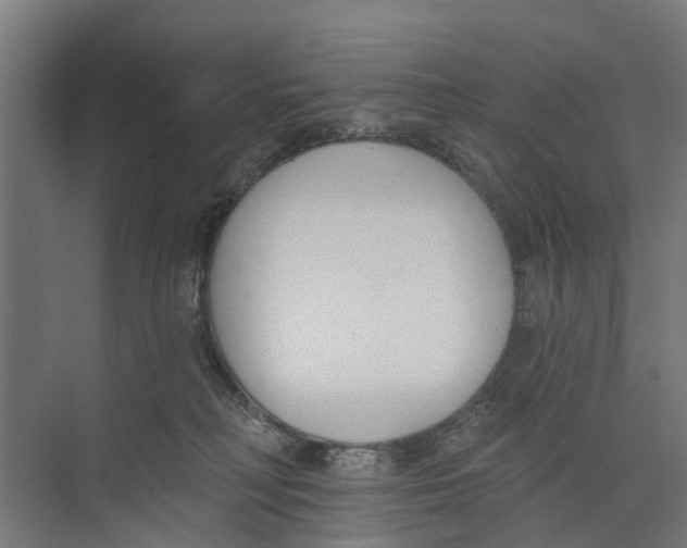 X0000073870230200609071707