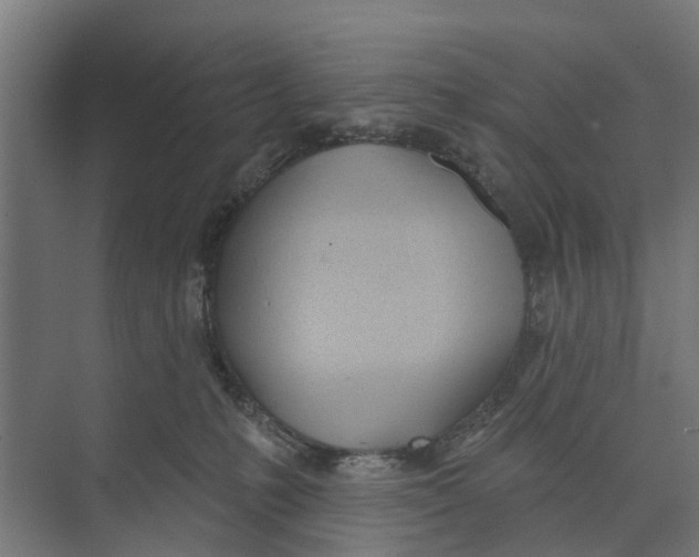 X0000073870231200609071707