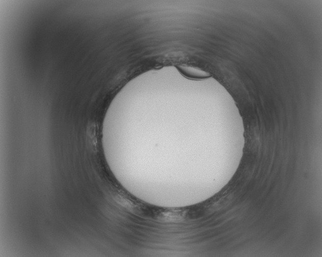 X0000073870232200609071707