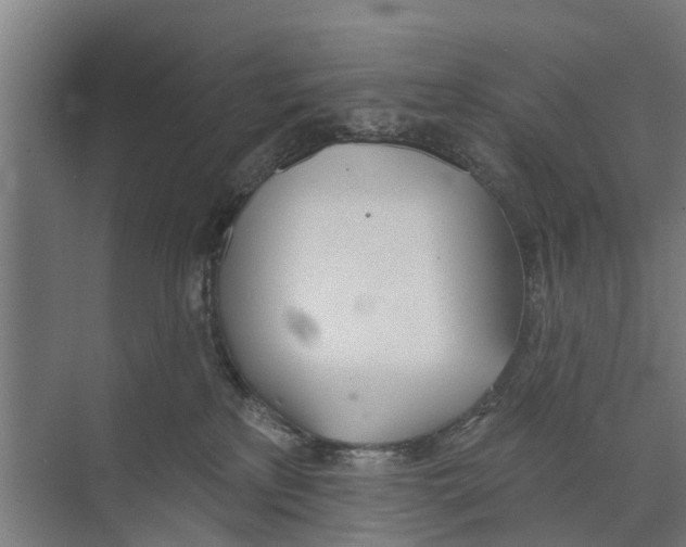 X0000073870233200609071707