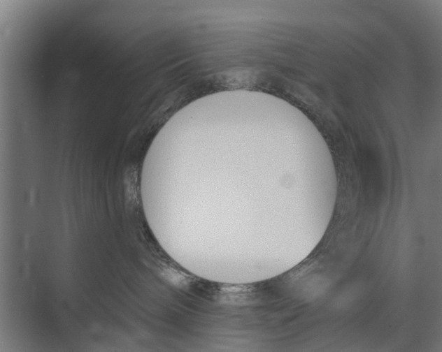 X0000073870240200609071707