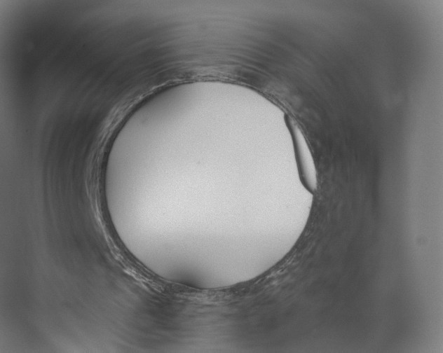 X0000073870241200609071706