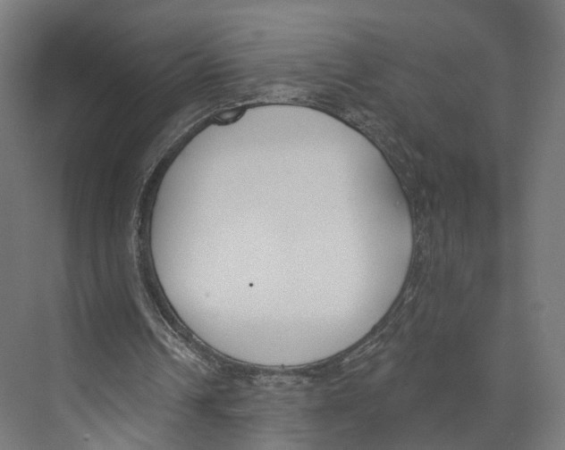 X0000073870242200609071706