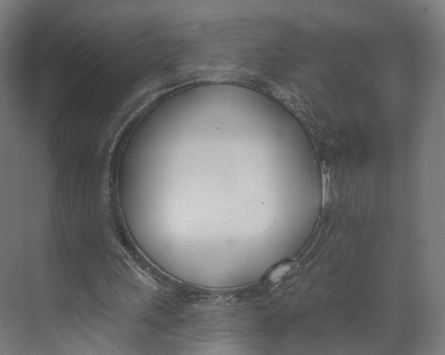 X0000073870243200609071706