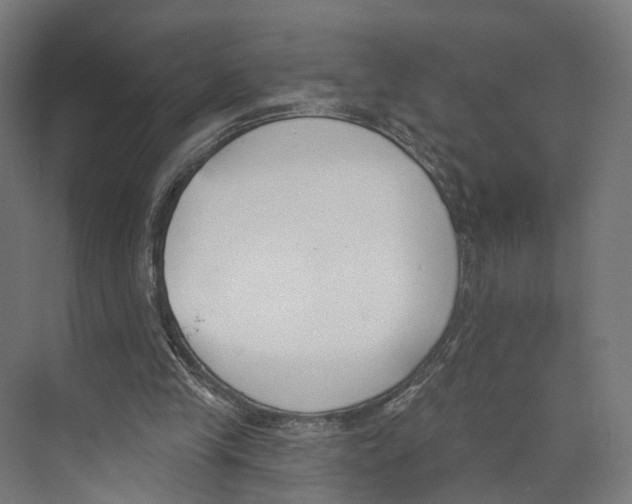 X0000073870245200609071706