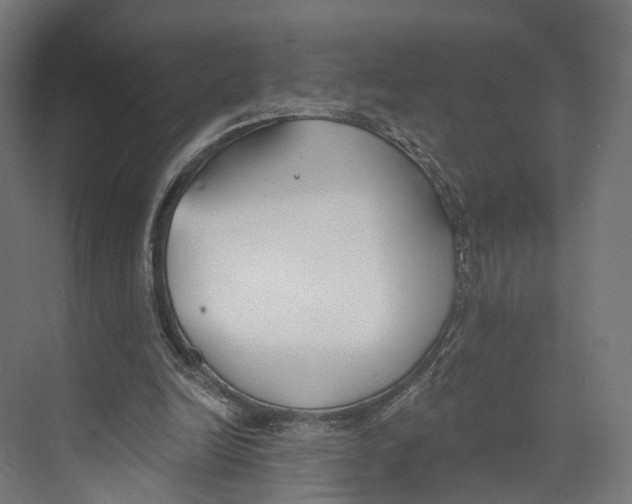 X0000073870246200609071706