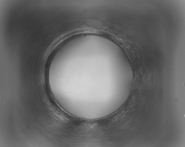 X0000073870247200609071706