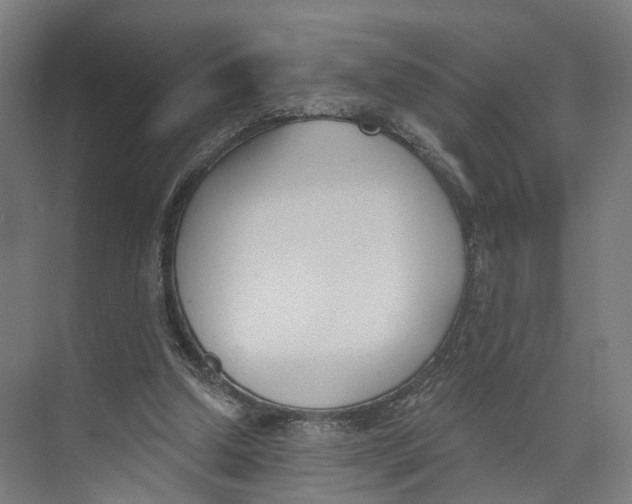 X0000073870250200609071706